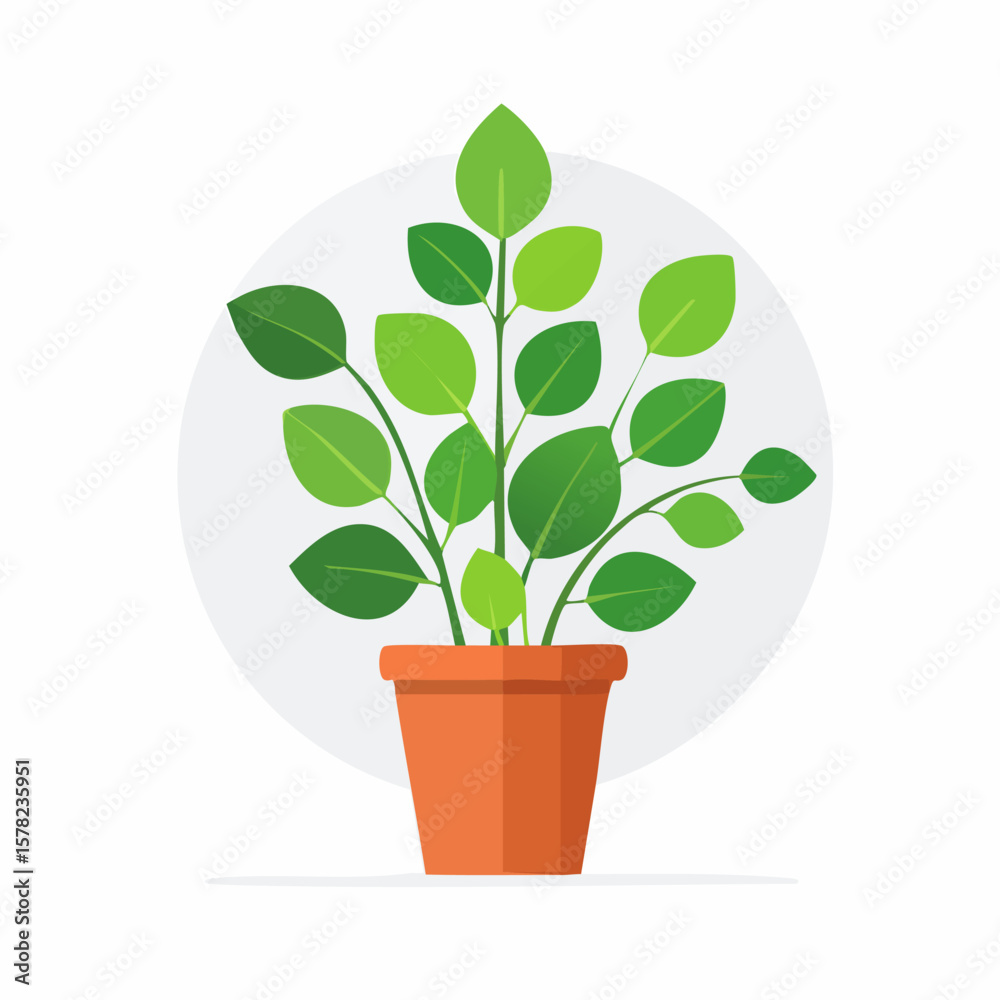 Obraz premium Lush Green Plant in Orange Pot with Light Gray Circle Background