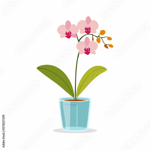 Delicate Pink Orchid in a Blue Glass Pot, Vector Illustration.