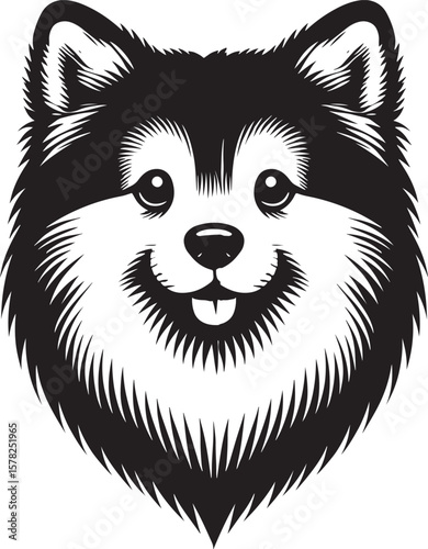 Black and white siberian husky dog. Vector illustration..eps