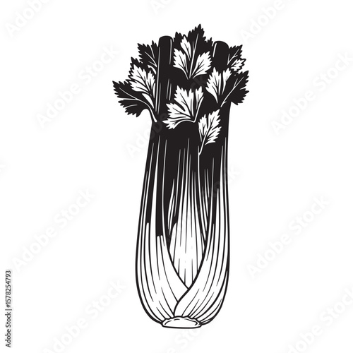 Black and white celery stalk with leafy green tops vegetable leaves