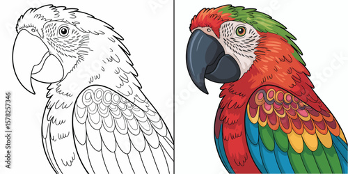 Parrot's Vibrant Palette: a dynamic illustration featuring a close-up of a colorful parrot in a vivid, captivating composition. It embodies the essence of avian beauty.