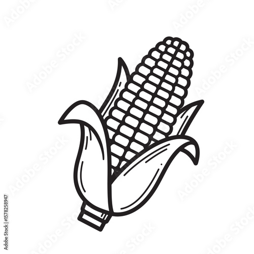 Vintage corn cob illustration maize grain