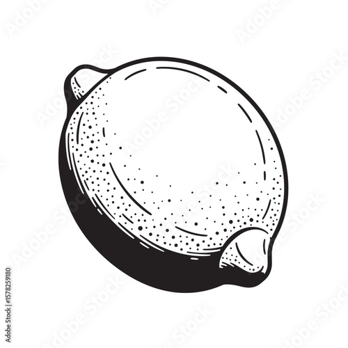 Vintage lemon illustration fruit citrus
