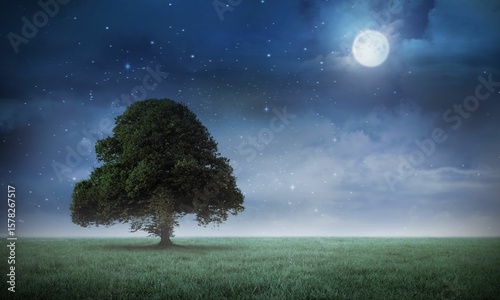 Solitary broad-leafed tree standing in flat design meadow under full moonlit starry sky with clouds