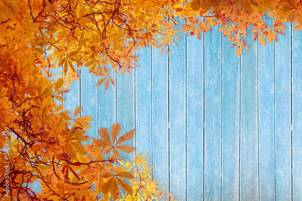 Fototapeta premium Flat design is showing golden autumn leaves and dark branches against weathered blue wooden planks
