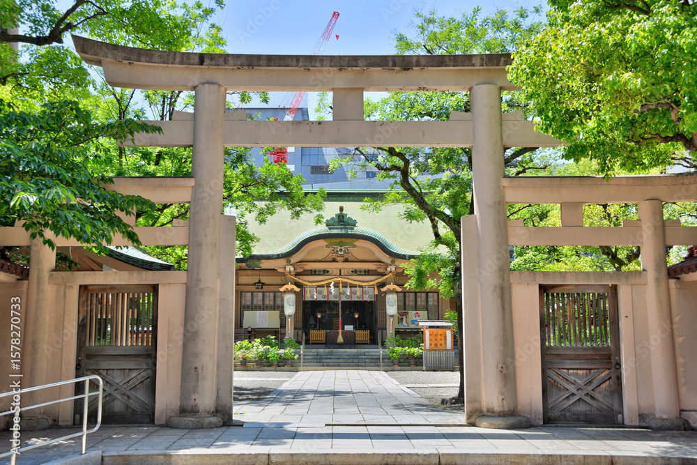 Obraz premium 坐摩神社の紫陽花
