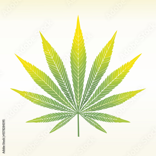 Detailed Green and Yellow Cannabis Leaf with Vein Details and Gradient.