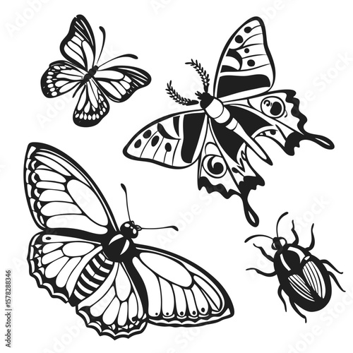 Black and white intricate butterfly and beetle silhouettes moth insect