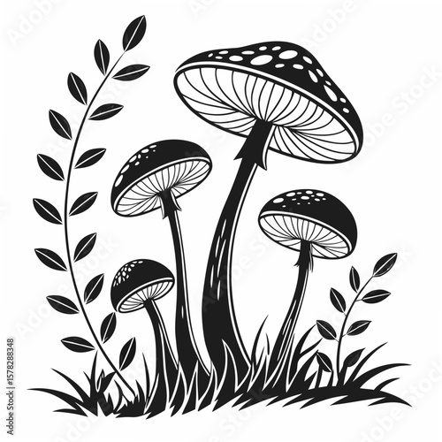 Black and white mushrooms and foliage fungi forest
