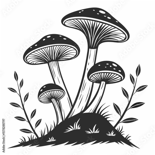 Black forest mushrooms with leaves and grass fungi nature