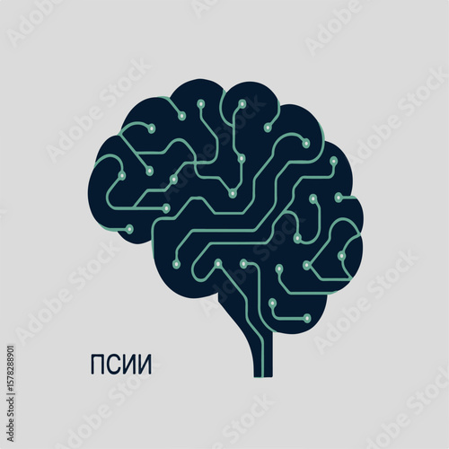 brain, human, head, medical, illustration, anatomy, mind, science, 3d, medicine, intelligence, concept, x-ray, scan, body, health, idea, light, vector, technology, power, neurology, design, xray, 