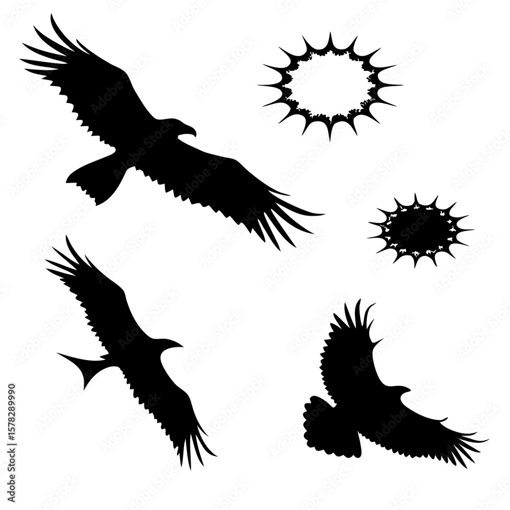Obraz premium Black silhouettes of eagles and abstract starburst shapes bird flying