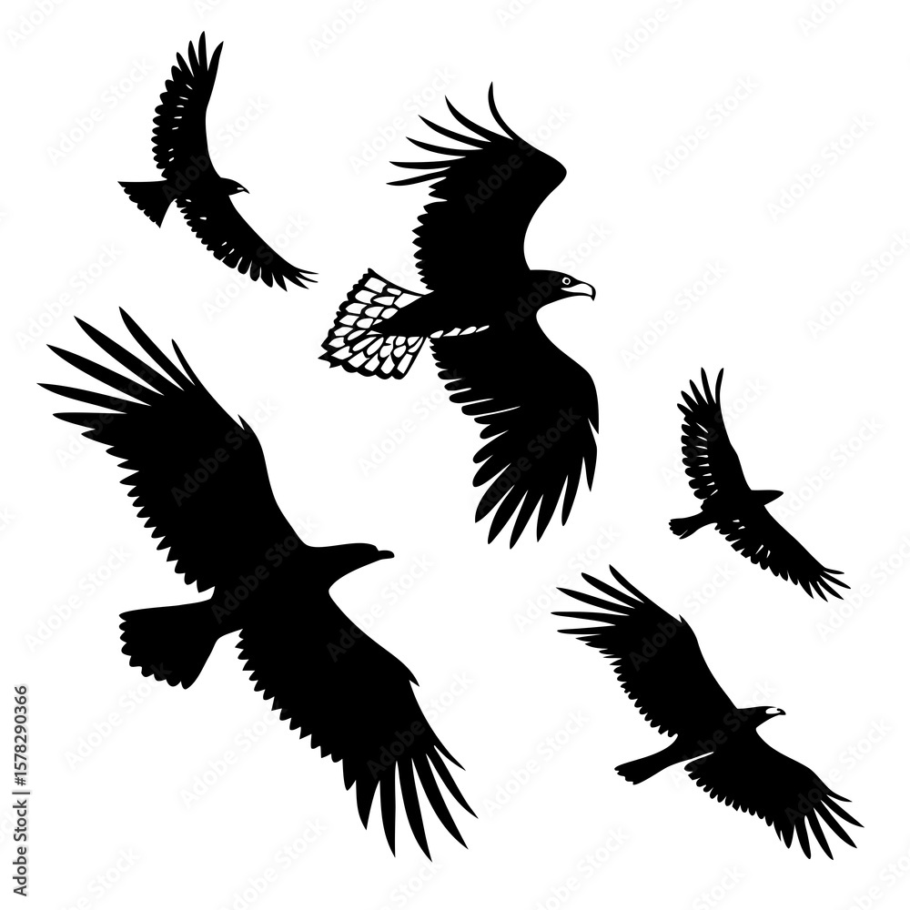 Fototapeta premium Black silhouettes of soaring eagles in flight bird flying