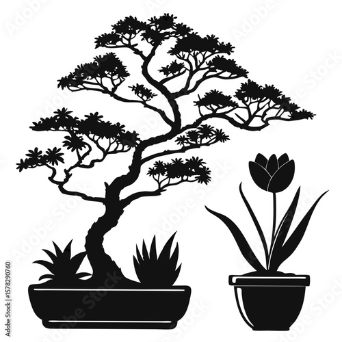 Bonsai tree and tulip flower in pots potted plant silhouette