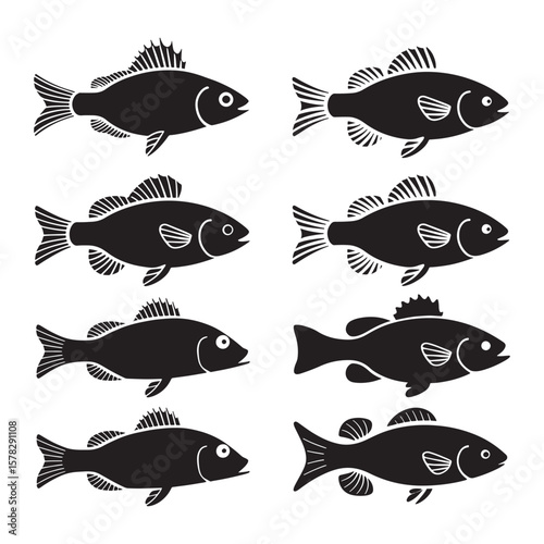 Collection of diverse fish silhouettes isolated on white background