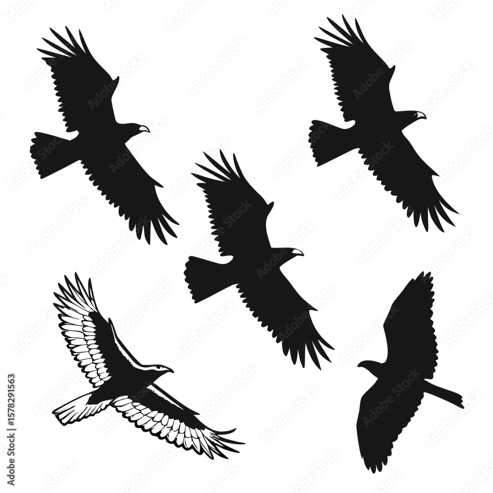 Fototapeta premium Collection of soaring eagles in silhouette and line art bird flight