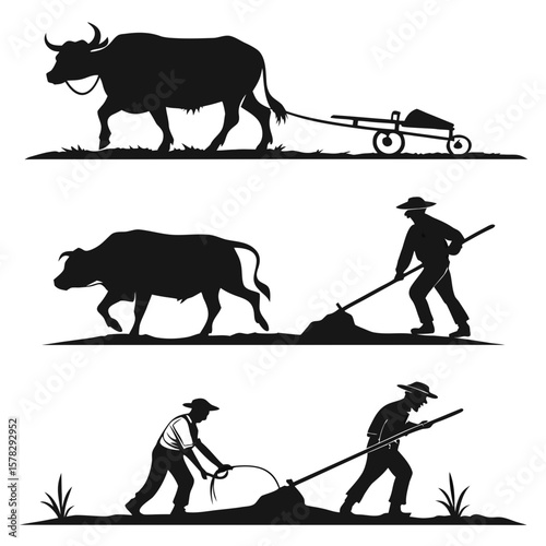 Farmers and oxen plowing fields in silhouette agriculture
