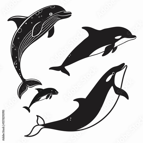 Four black whale and dolphin silhouettes in various styles killer whale orca