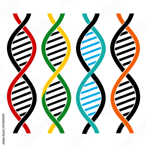 Four colorful abstract dna strand silhouettes helix molecule