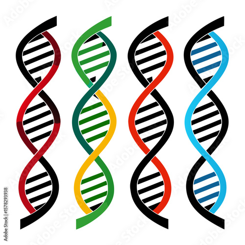Four colorful abstract D N A helix strands science biology