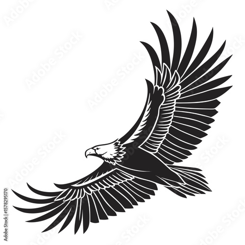 Majestic eagle soaring with spread wings in black and white bird flying