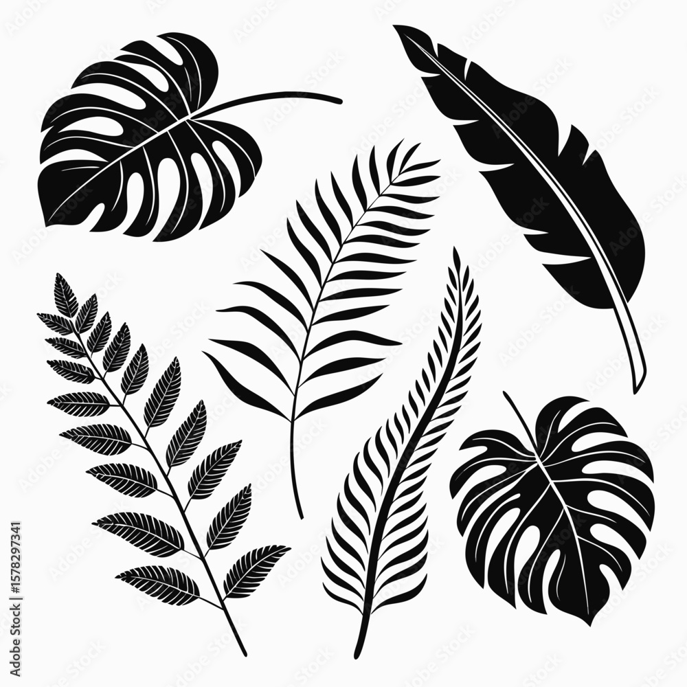 Obraz premium Tropical foliage silhouettes monstera palm fern leaves tropical leaves jungle leaves