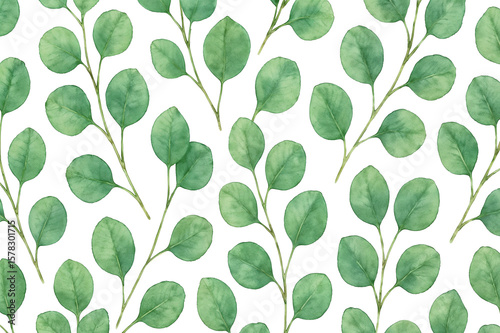 Eucalyptus leaves pattern watercolor style