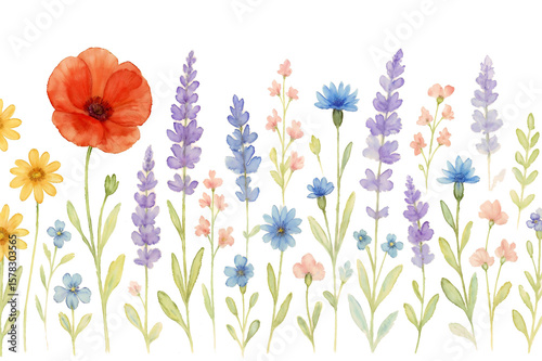 Spring wildflower in watercolor background