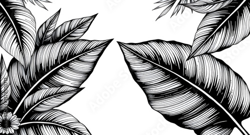 leaves silhouette, leaf silhouette, foliage silhouette, botanical silhouette, plant leaves, leaf vector, leaf outline, nature silhouette, black leaf shape, tropical leaves silhouette, jungle leaves, t