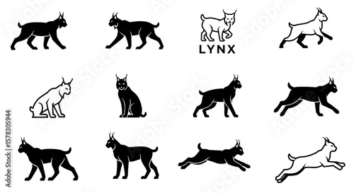 Various Black and White Lynx Silhouettes in Different Poses