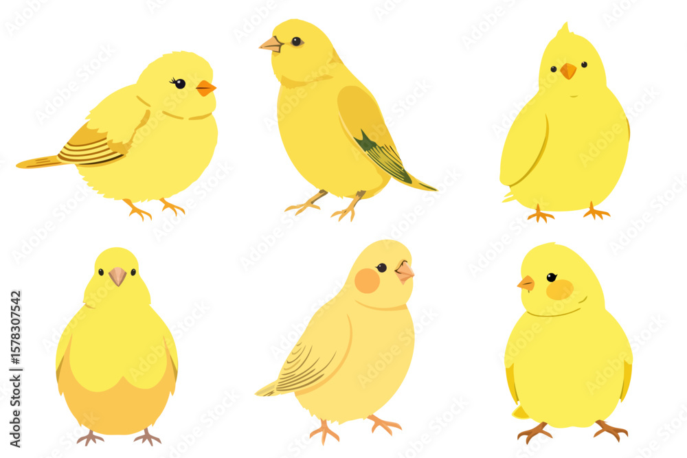 Cute Yellow Birds Vector Illustration Set Collection of Adorable Small Kawaii Cartoon Bird Characters with Transparent Background Cute Yellow Birds Vector Illustration Set Collection of Adorable Small Kawaii Cartoon Bird Characters with Transparent Background