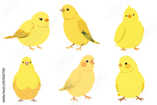 Set of Cute Cartoon Yellow Birds Vector Illustration Collection Adorable Small Canary Animal Characters Isolated Graphic Design Elements