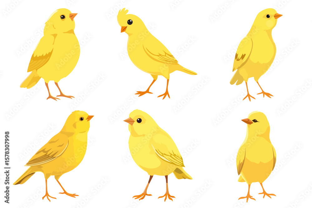 Set of Cute Yellow Canary Bird Vector Illustrations Adorable Small Songbirds with Transparent Background Set of Cute Yellow Canary Bird Vector Illustrations Adorable Small Songbirds with Transparent Background