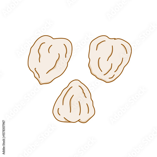 Candlenut is designed in a simple flat cartoon style. Aleurites moluccanus