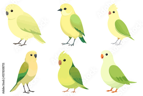 Set of Cute Small Pet Birds Vector Illustrations Collection of Colorful Cartoon Style Parrots Budgies Animals