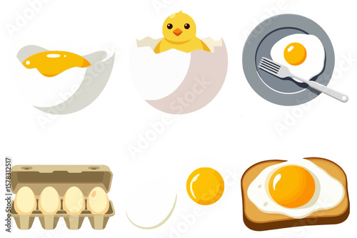 Egg Lifecycle Vector Illustration Set Cracked Egg Yolk Chick Hatching Fried Egg Plate Toast Carton Food Cooking Life Cycle Icons