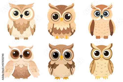 Wallpaper Mural Cute Cartoon Owls Set Illustration Animal Wildlife Bird Nature Design Collection Graphic Adorable Character Torontodigital.ca