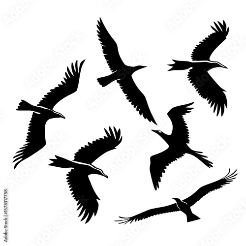 Black silhouettes of soaring birds in flight wings