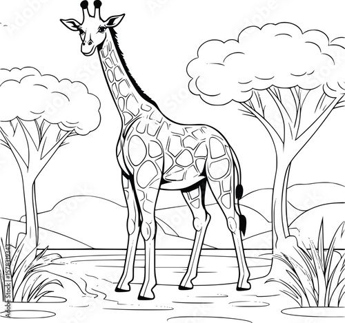  Giraffe Coloring Page Drawing For Kids 