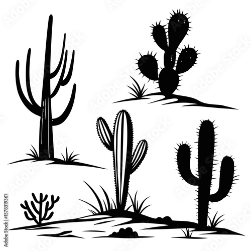 Desert cacti silhouettes with sparse vegetation cactus