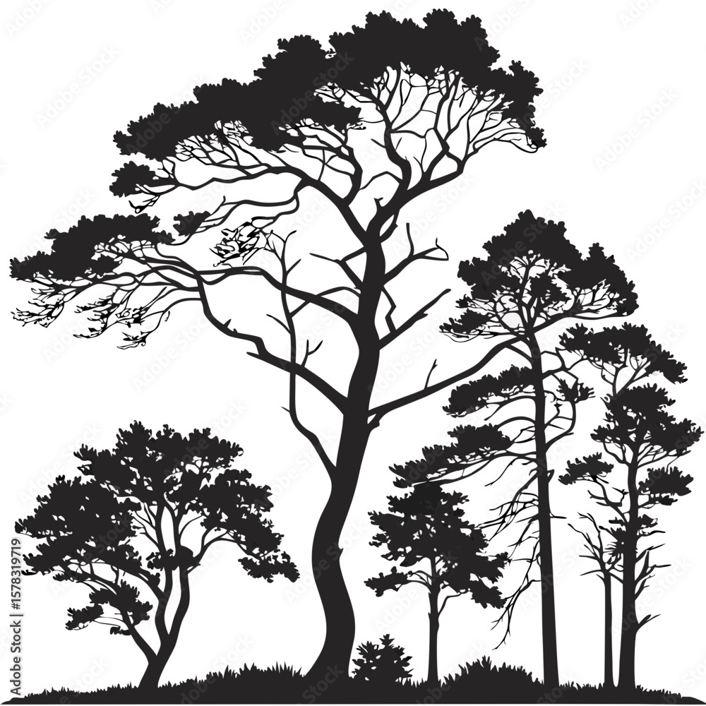 Obraz premium Diverse forest trees black silhouette against white
