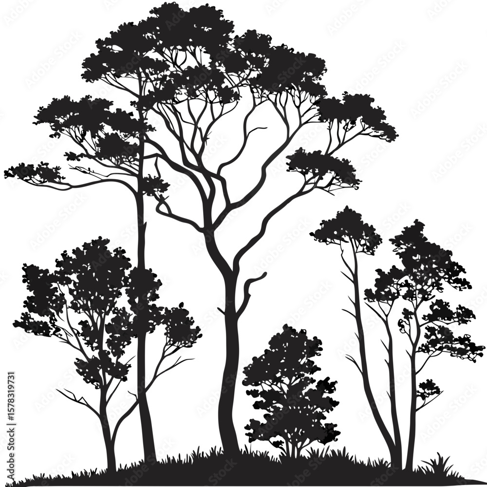 Fototapeta premium Diverse forest trees silhouette against white background