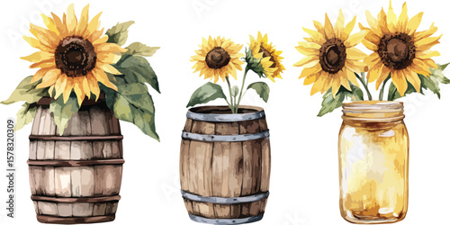 Watercolor Sunflowers in Barrels and Jar Rustic Floral Arrangement Illustration