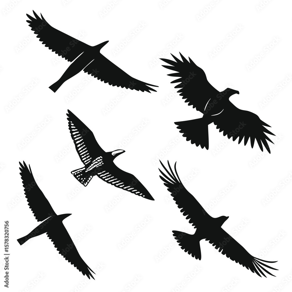 Fototapeta premium Five black bird silhouettes in flight birds flying