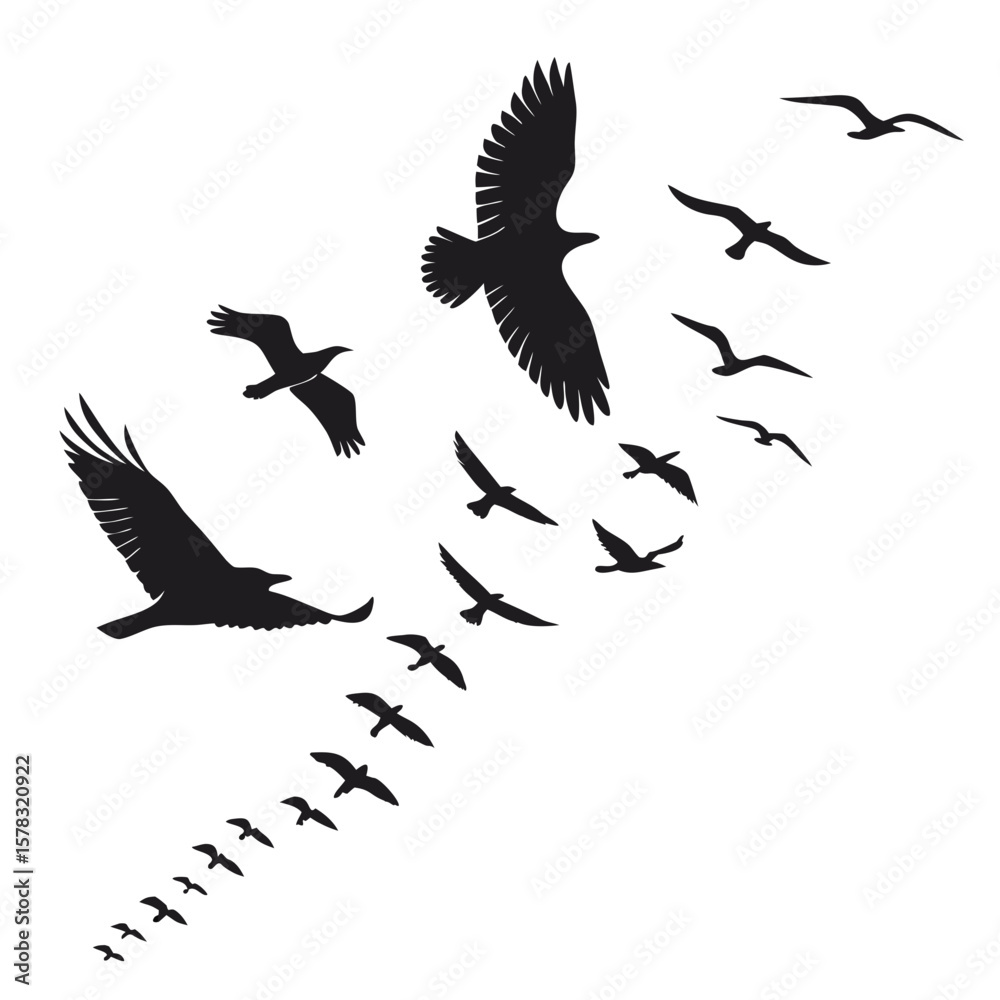 Obraz premium Flock of birds in flight silhouettes flying black