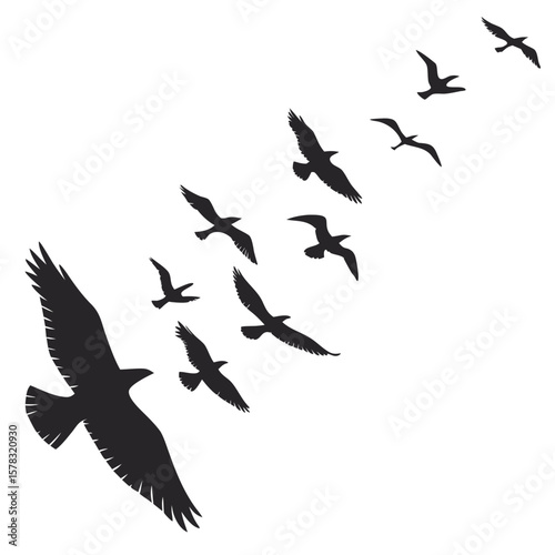 Flock of birds in flight silhouettes flying wings