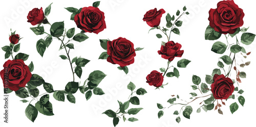 Elegant red roses seamless border pattern on white background for design projects