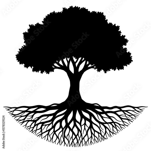 Rooted Strength