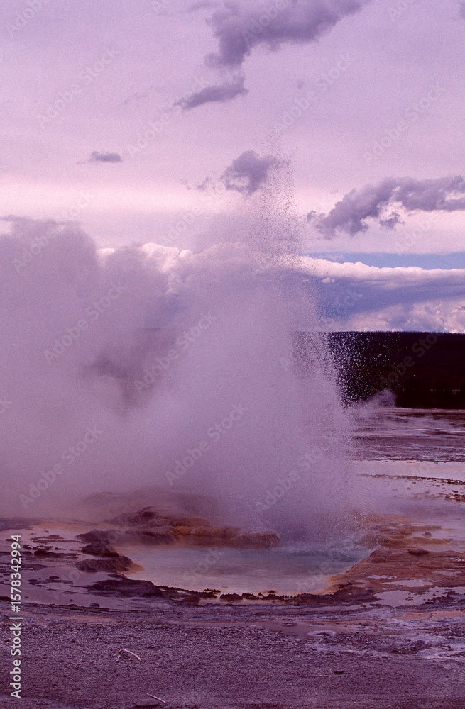 Obraz premium geyser in yellowstone national park