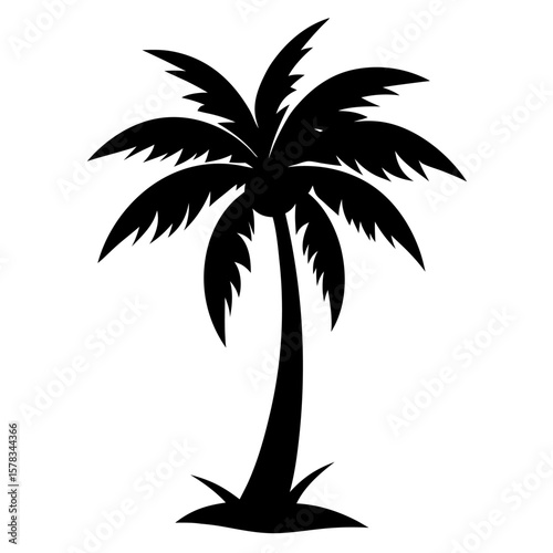 palm tree silhouette